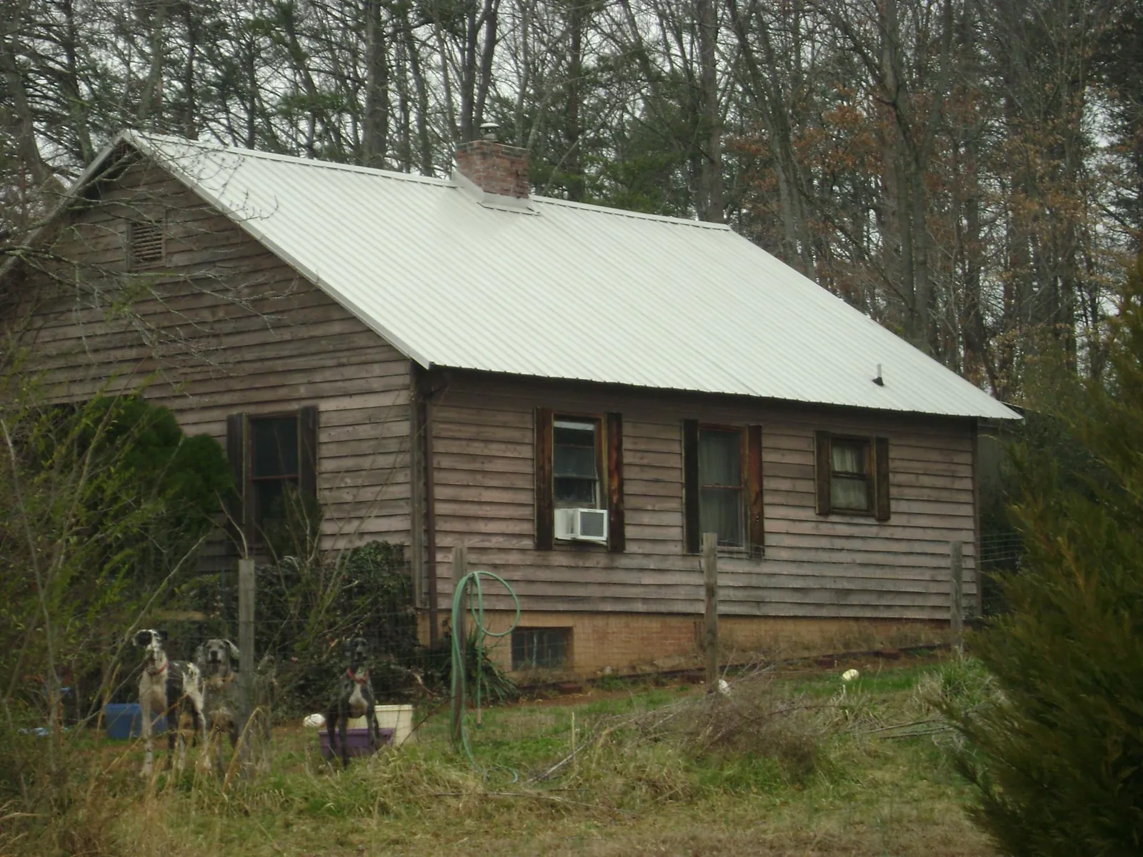 White metal roof on an old wood sided farmhouse, from a Asphalt Shingle Roof Repair job in Clear Brook